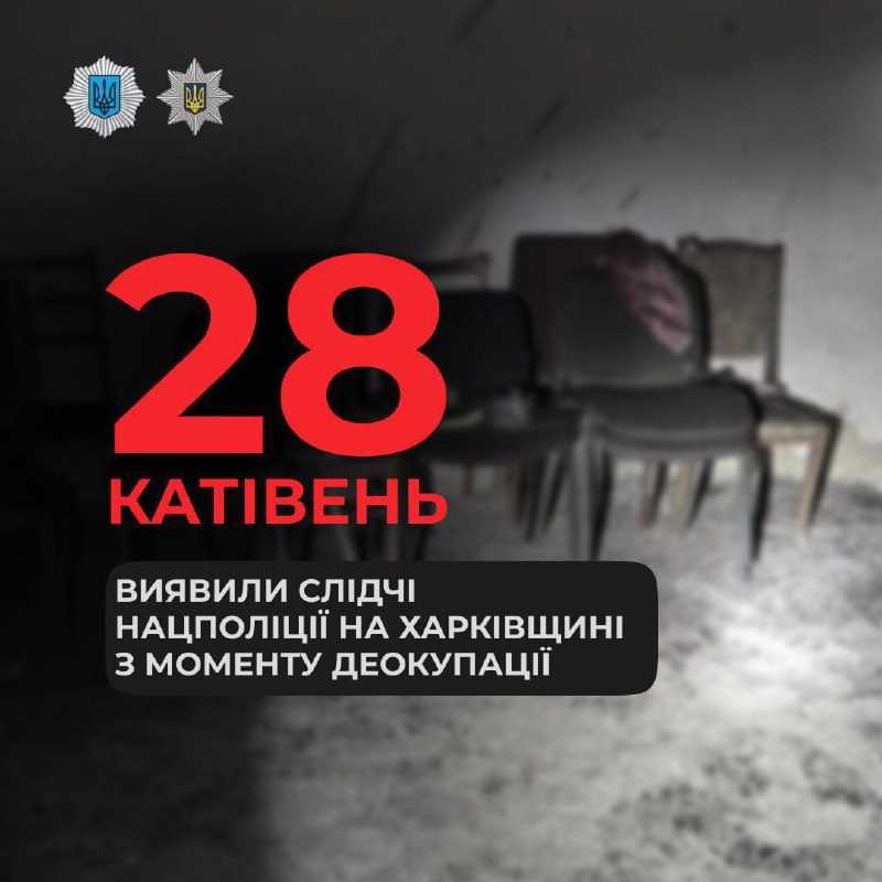 Слідчі Нацполіції виявили на деокупованій Харківщині 28 катівень, повідомили в МВС.