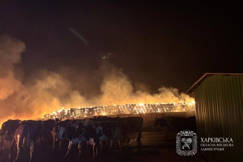 Ситуація на Харківщині від Олега Синєгубова, 19 серпня, зведення за добу:
протягом минулої доби ворожих ударів... Ситуація на Харківщині від Олега Синєгубова, 19 серпня, зведення за добу:
протягом минулої доби ворожих ударів...